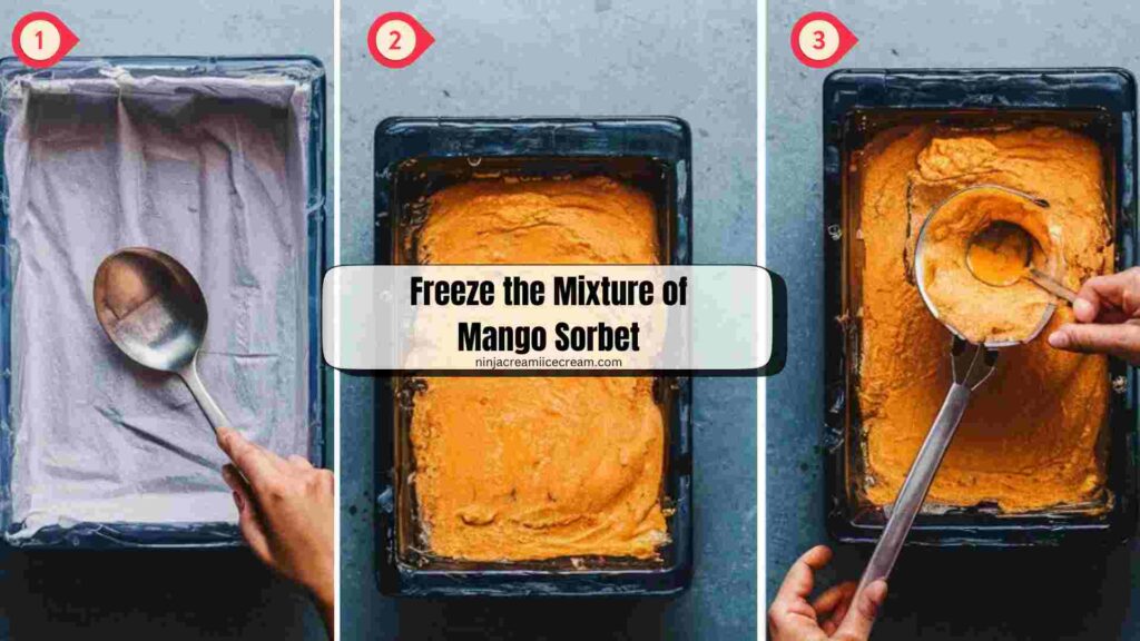 Freeze the Mixture of Mango Sorbet