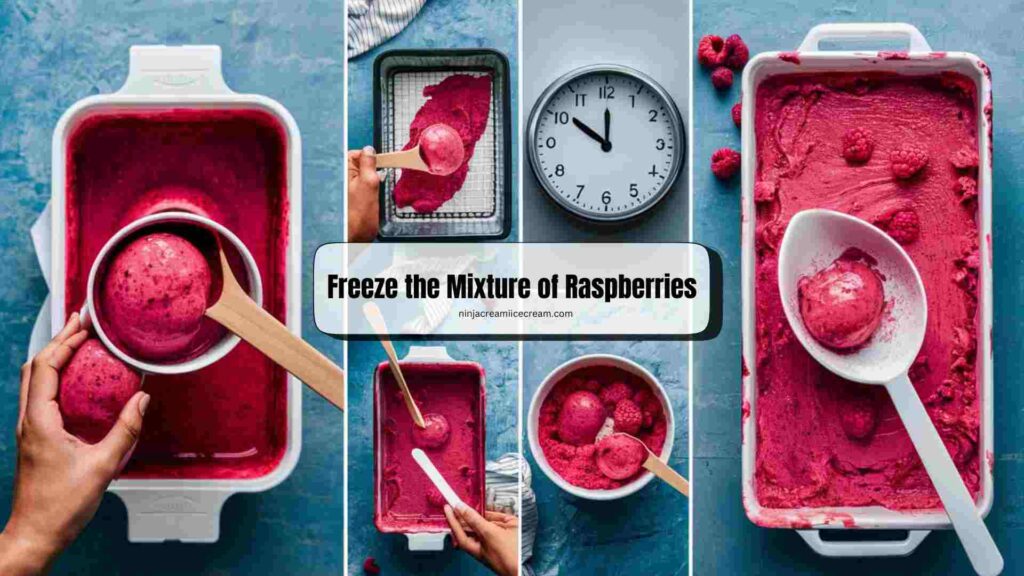 Freeze the Mixture of Raspberries