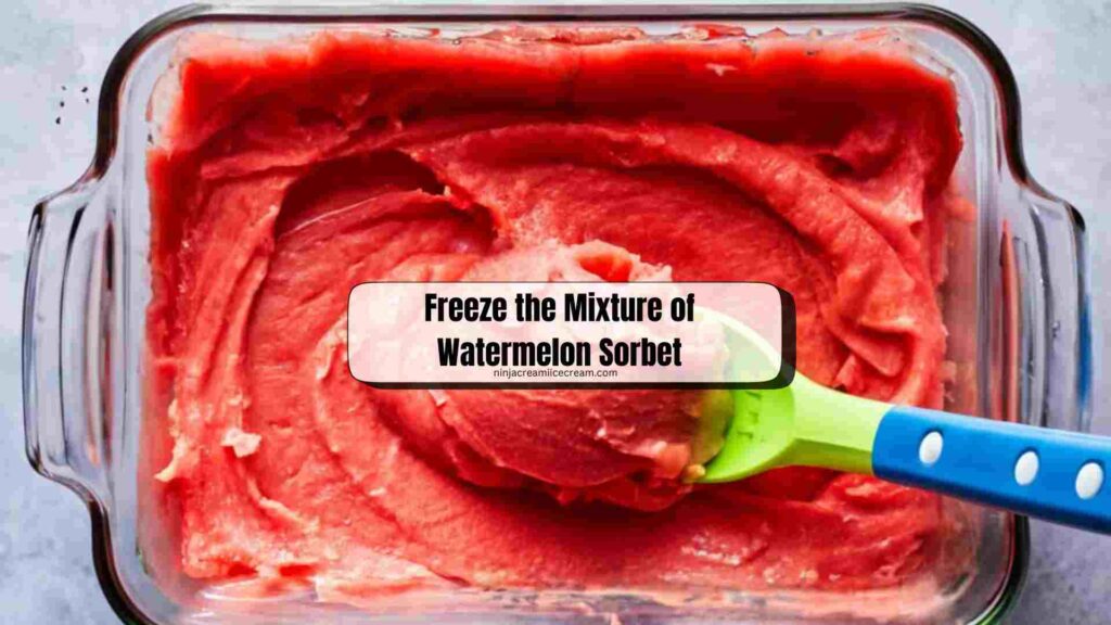 Freeze the Mixture of Watermelon Sorbet