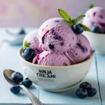 Ninja Creami Blueberry Ice Cream Recipe