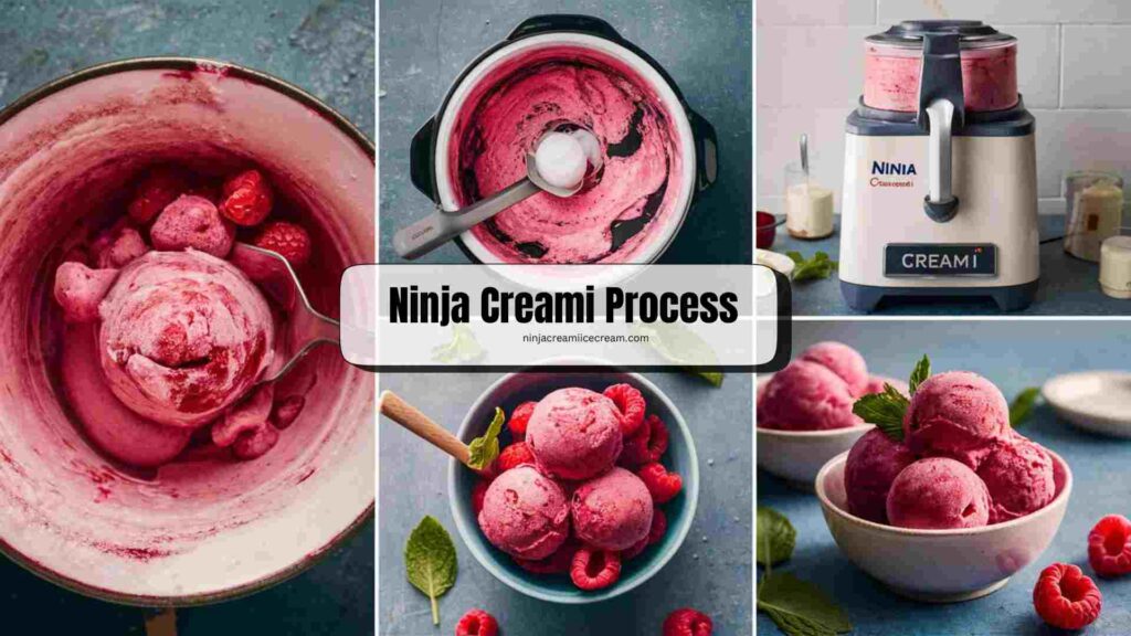 Ninja Creami Process