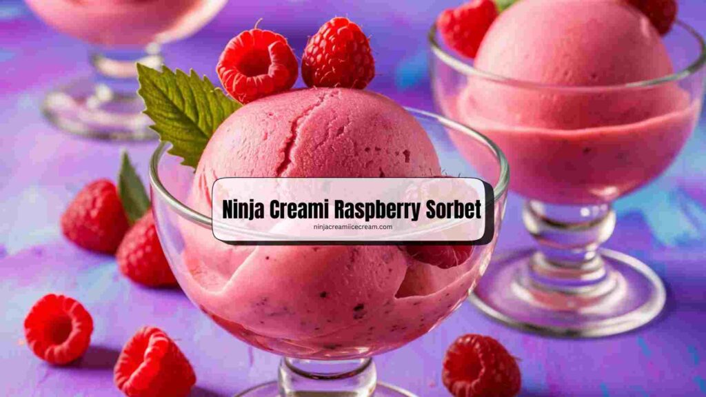 Ninja Creami Raspberry Sorbet