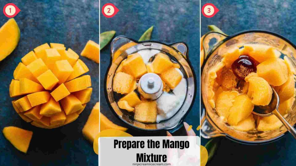 Prepare the Mango Mixture