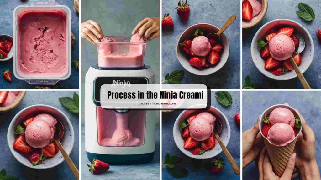 Process in the Ninja Creami