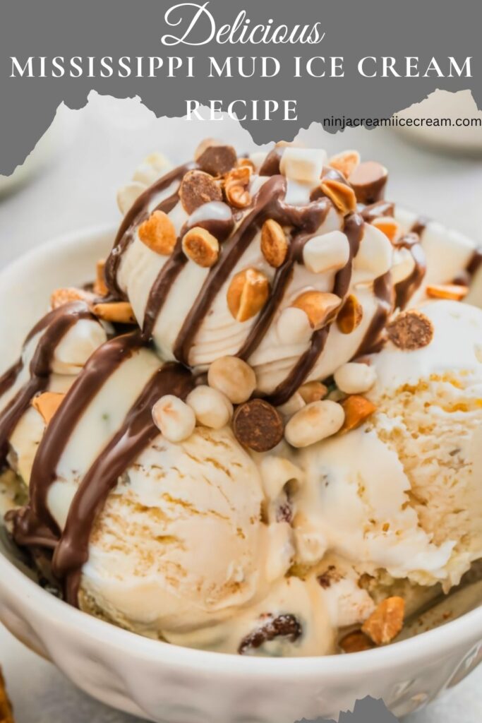 Mississippi Mud Ice Cream