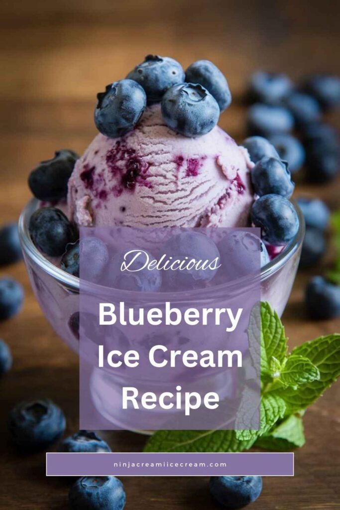 Blueberry Ice Cream Recipe