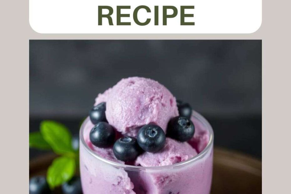 Blueberry Sorbet Recipe