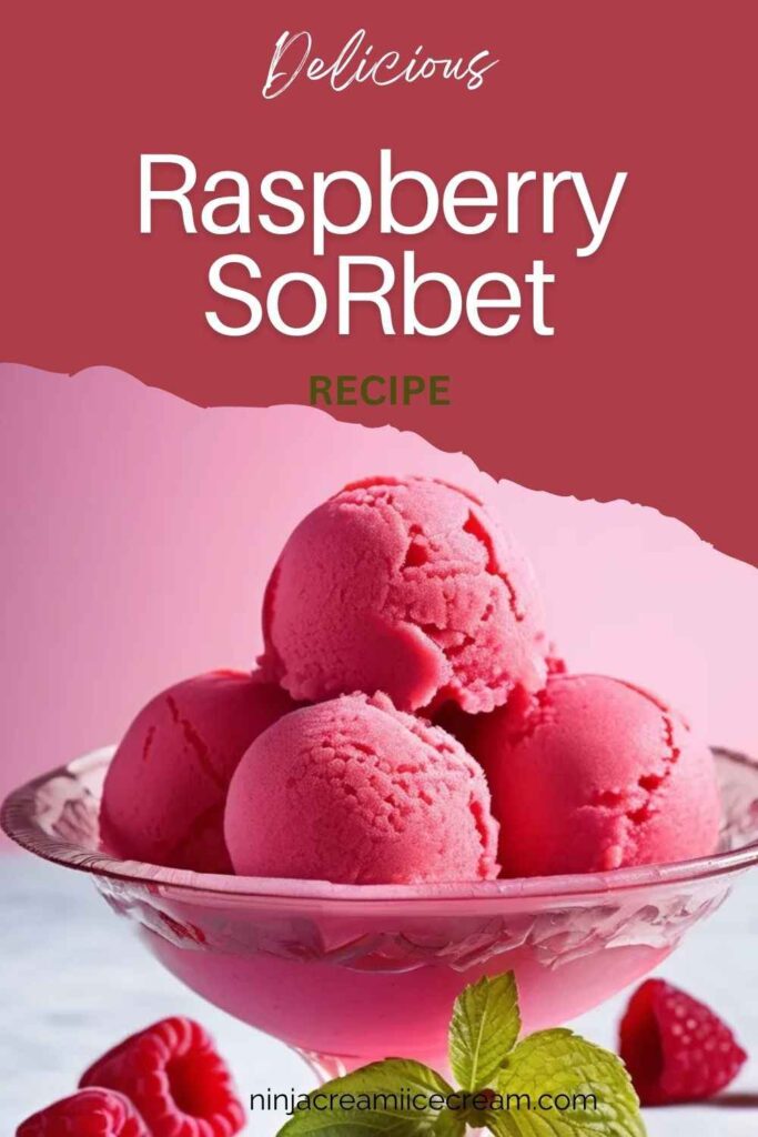 Raspberry Sorbet Recipe