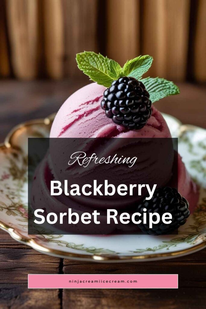 Blackberry Sorbet Recipe