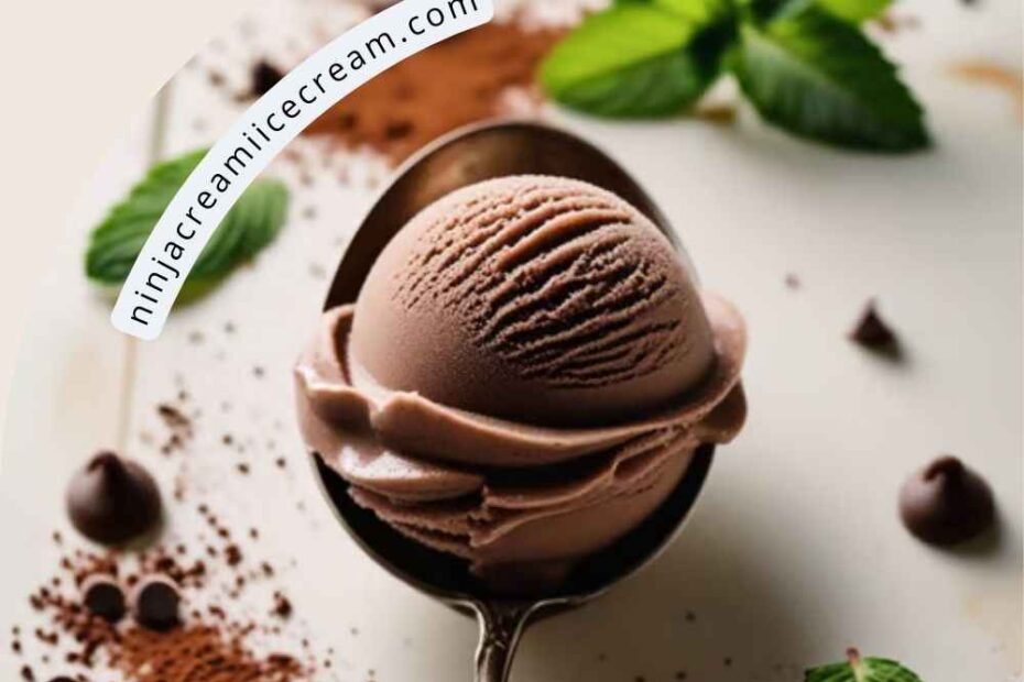 Chocolate Sorbet Recipe