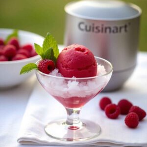 Cuisinart Sorbet